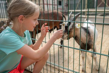 Highlight für Tierliebhaber: Im Tier- und Erlebnispark Lützen können Kinder zutraulichen Ziegen, Schafen und Kaninchen begegnen. Foto: Falko Matte, Saale-Unstrut-Tourismus e.V.