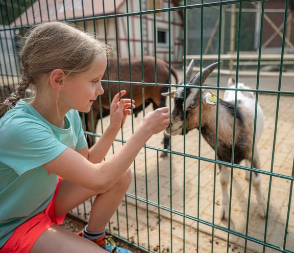 Highlight für Tierliebhaber: Im Tier- und Erlebnispark Lützen können Kinder zutraulichen Ziegen, Schafen und Kaninchen begegnen. Foto: Falko Matte, Saale-Unstrut-Tourismus e.V.