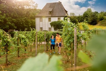 Bad Sulzaer Weinwanderweg mit dem Goethe-Gartenhaus II im Hintergrund, Foto: Saale-Unstrut-Tourismus e.V., Transmedial