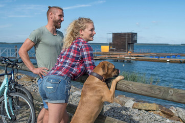 Nase im Wind: Die Radtour auf dem Partwitzer Seerundweg ist auch bei Vierbeinern beliebt. Foto: Tourismusverband Lausitzer Seenland, Nada Quenzel 